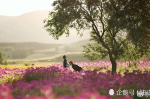 势力男性泌尿科排名：宁波割包皮病院去哪家